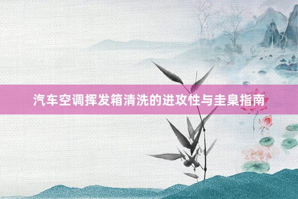 汽车空调挥发箱清洗的进攻性与圭臬指南